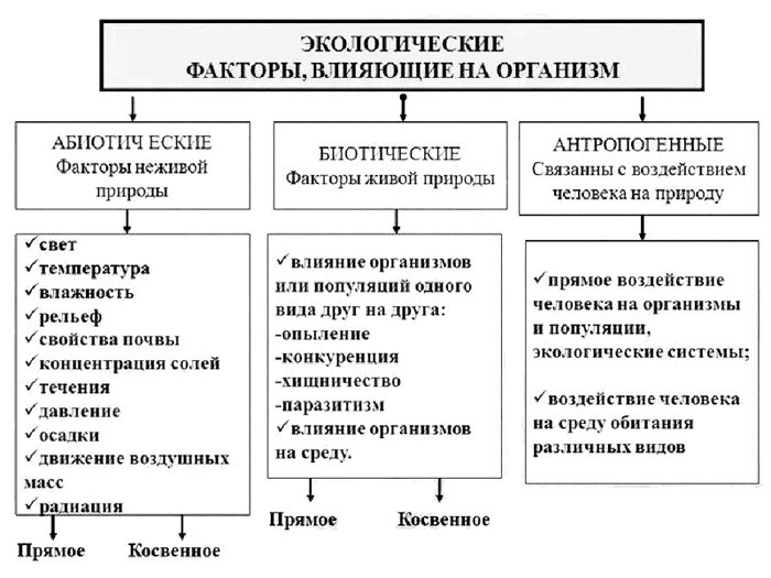Всего 25 тестовых вопросов по теме Экология для 11 класса, с ответами Тесты для подготовки к контрольным и зачётным работам в школе по биологии