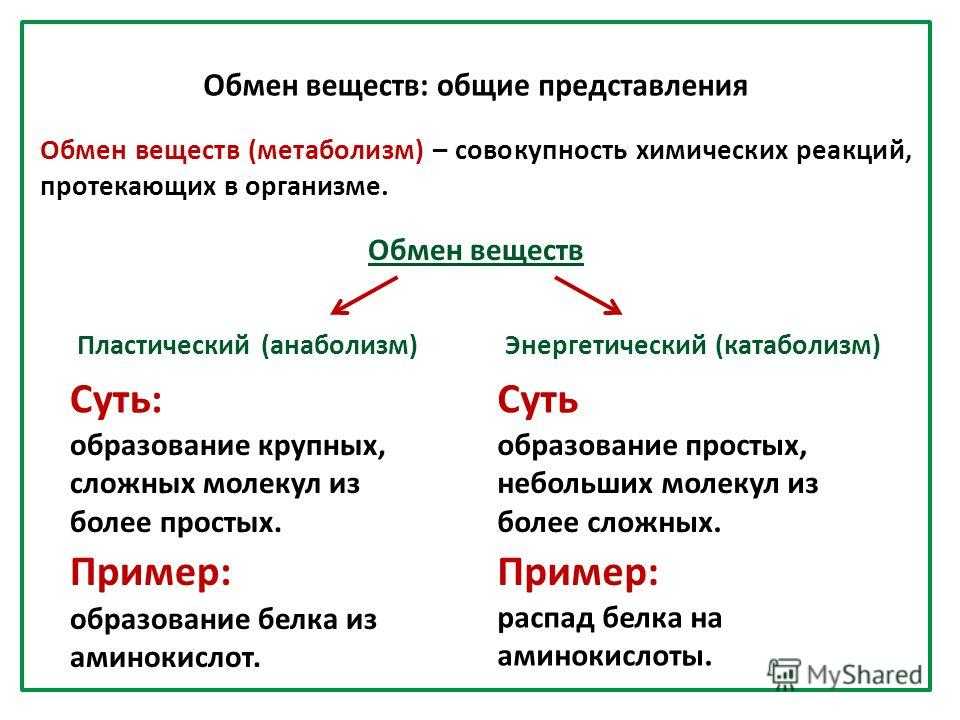 Итоговая контрольная работа по биологии за курс 10 класса