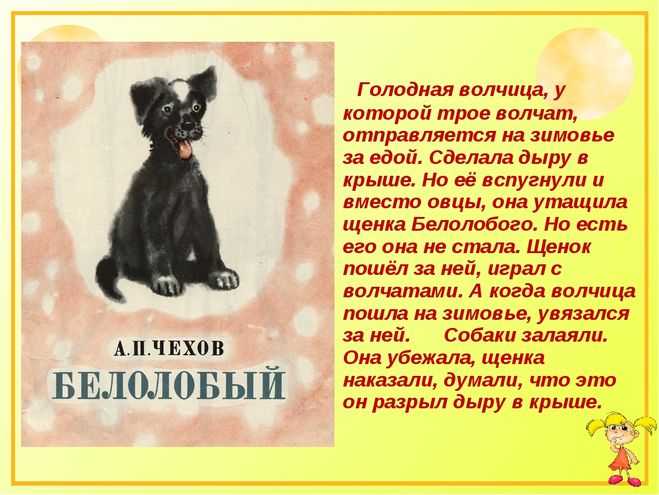 Сочинение на тему описание одежды или костюма 6 класс