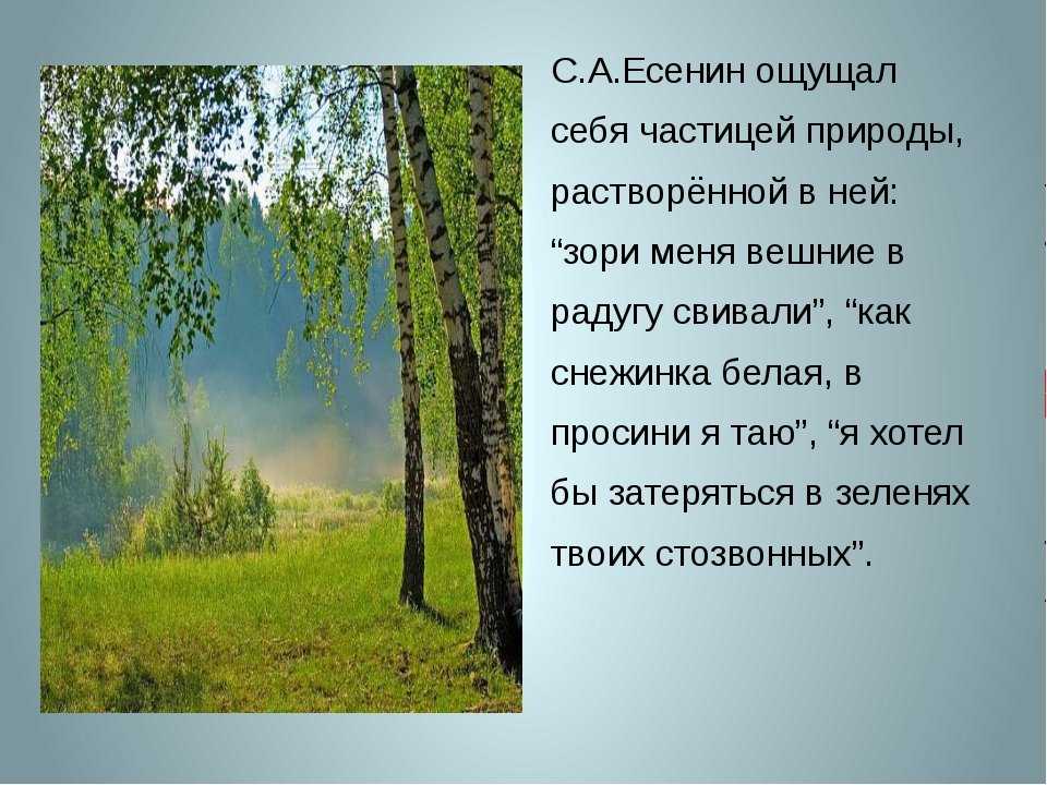 «записки сумасшедшего» — краткое содержание повести н.в. гоголя