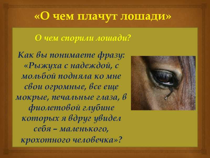 Сочинение по рассказу о чем плачут лошади абрамова 7 класс