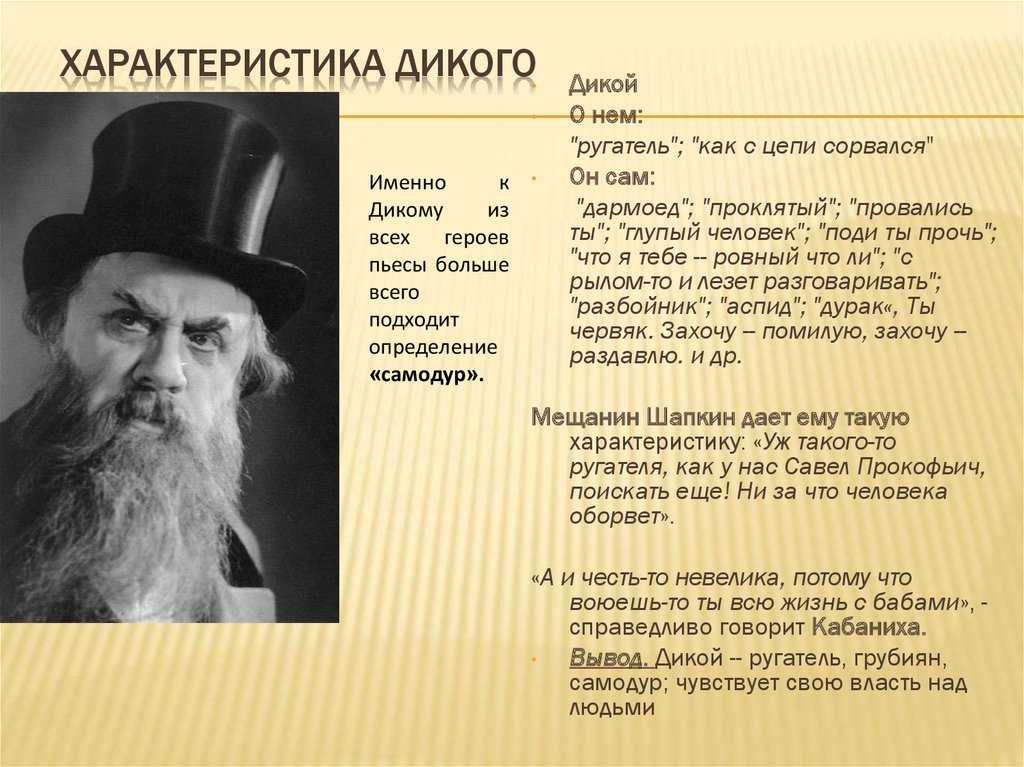 Эссе «бездомные животные — это ответственность человека»