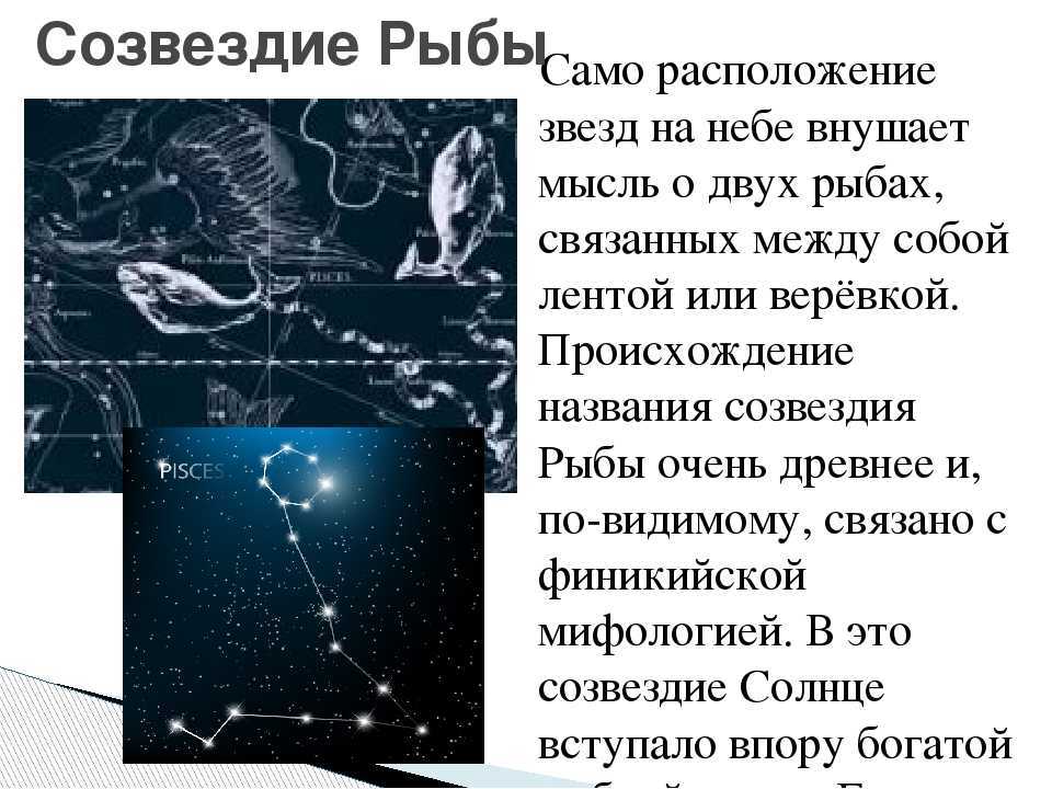 Неприметное зодиакальное созвездие рак