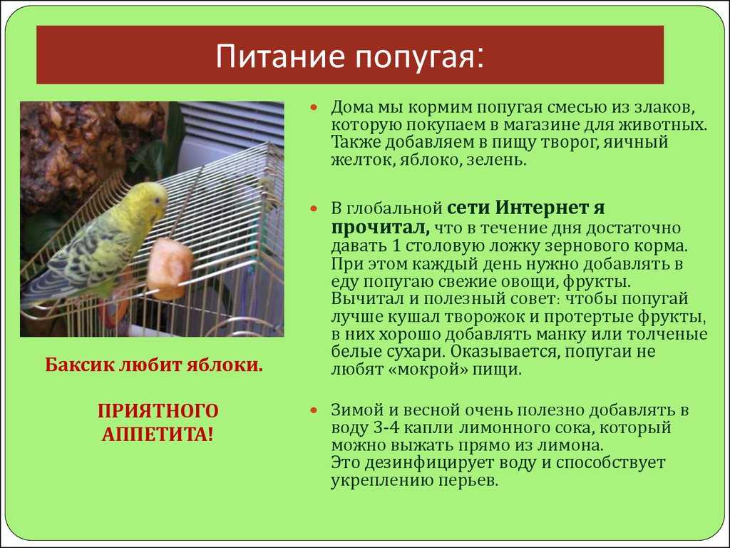 Тема: мой идеальный день, рассказ для 5 класса