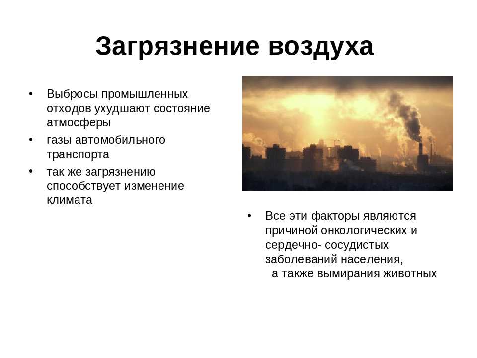 Загрязнение ⭐ воздуха: источники и причины загрязнения воздуха, последствия