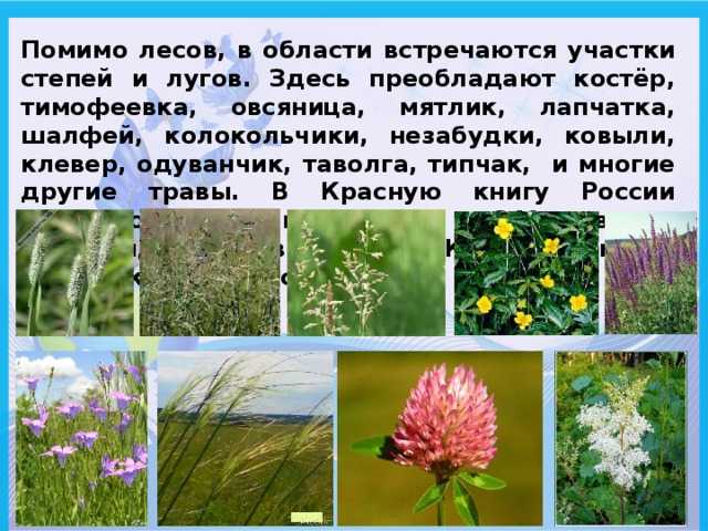 Охрана природы