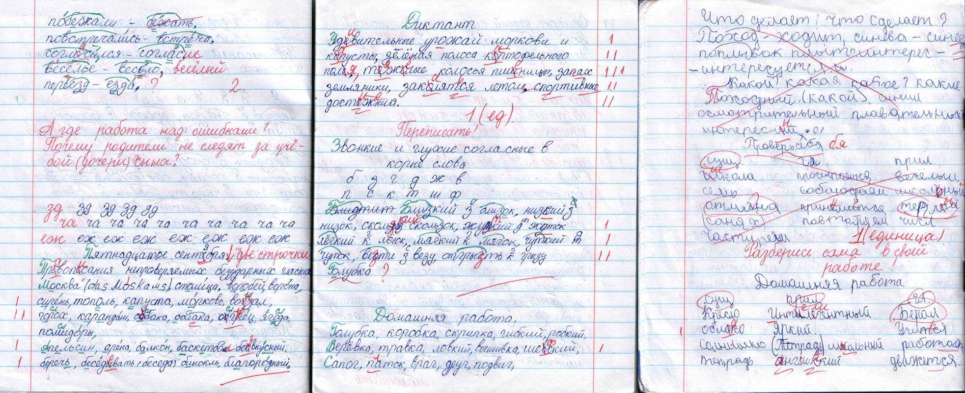 Пингвин – описание, виды, чем питаются пингвины, где живут, фото