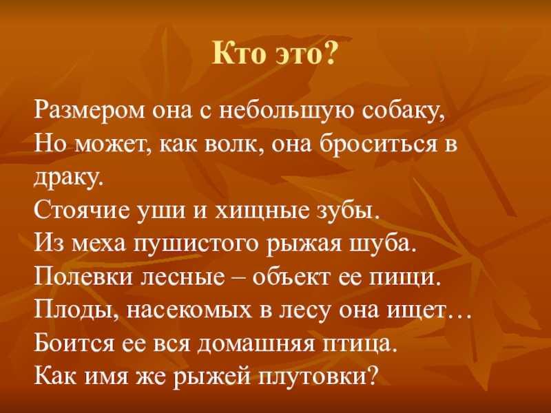 Сочинение на тему мое любимое животное лиса