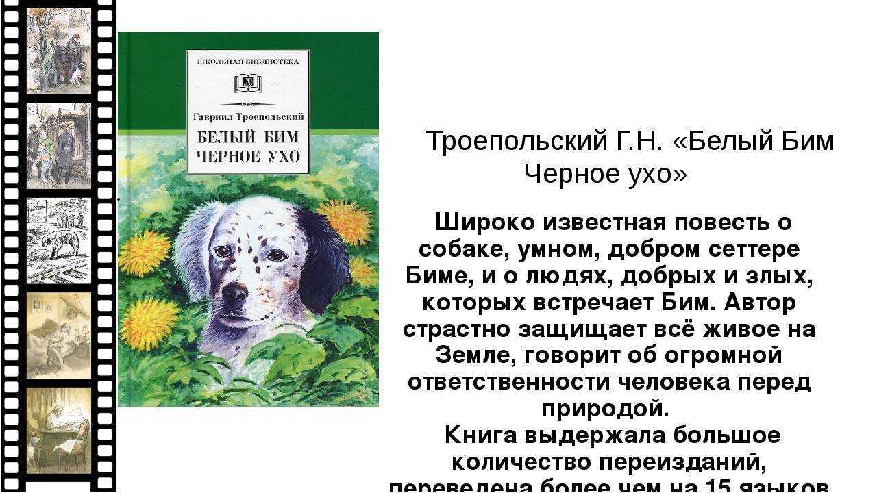 «белый бим черное ухо» краткое содержание для читательского дневника по рассказу троепольского (7 класс) – главная мысль, сюжет, отзыв, вывод