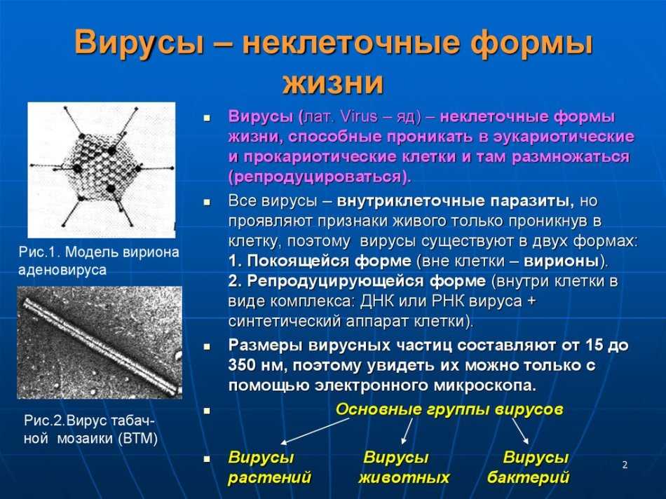 Замечательное виды компьютерных вирусов