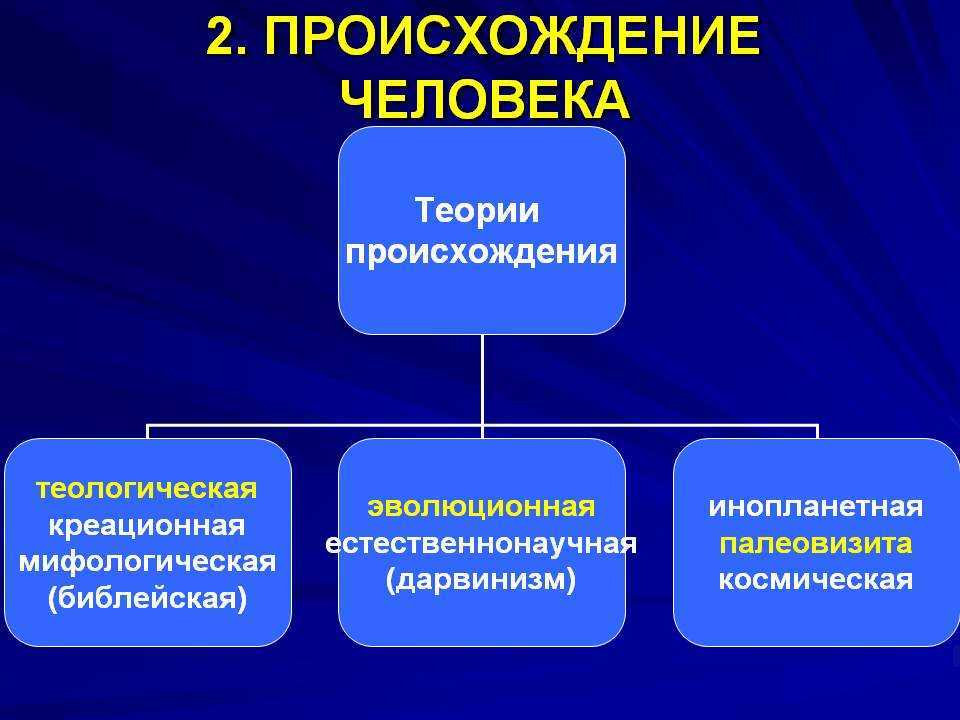 Происхождение человека - основные теории и версии появления человека на земле