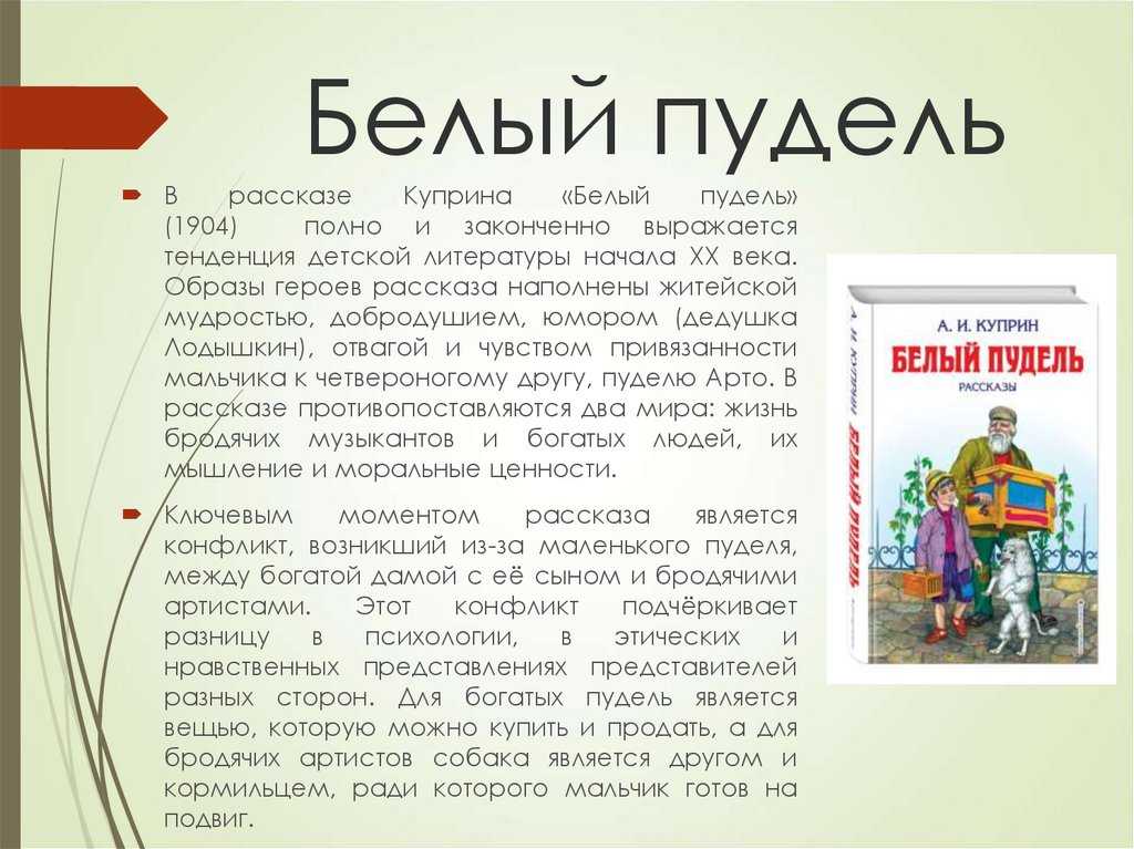 Белый пудель, характеристика главных героев: образы и характеры центральных персонажей, анализ рассказа