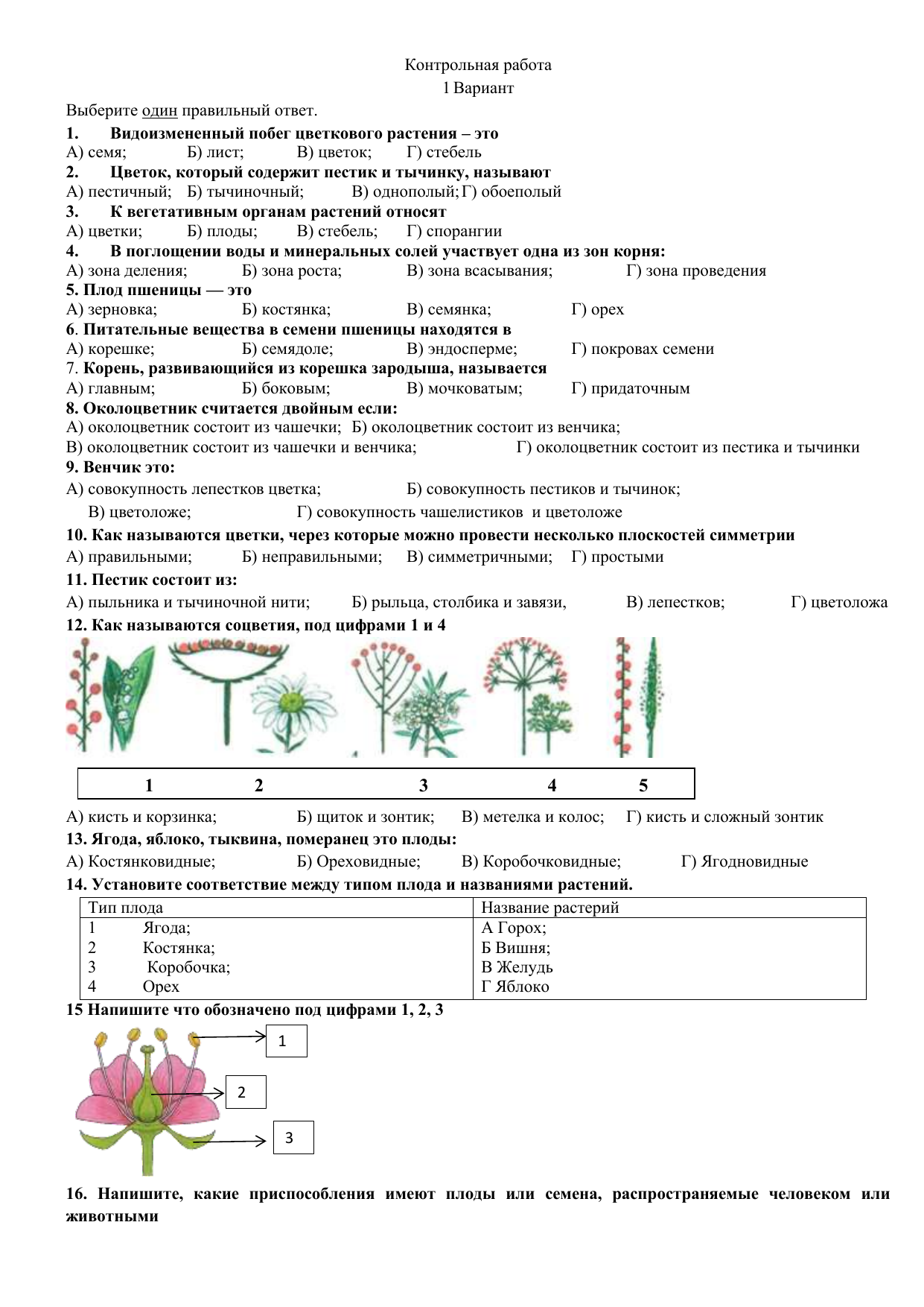 Тест по биологии 6 класс презентация