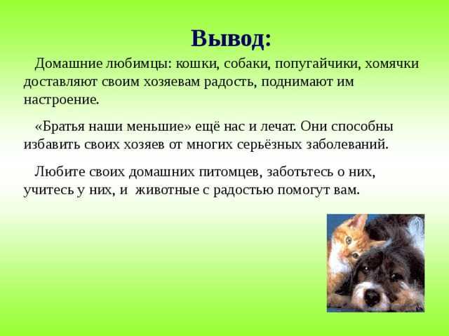 Добро и зло. добро и зло по отношению к «братьям нашим меньшим».