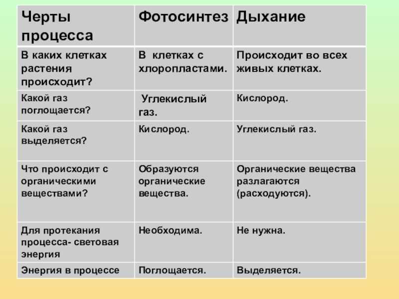 Тест по биологии жизнедеятельность клетки. метаболизм: энергетический и пластический обмен. фотосинтез 10 класс