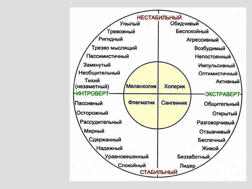 Тема "человек и общество". понятия, термины, тесты с ответами.