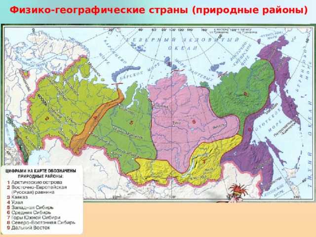 Контурная карта по географии 8 класс природные зоны