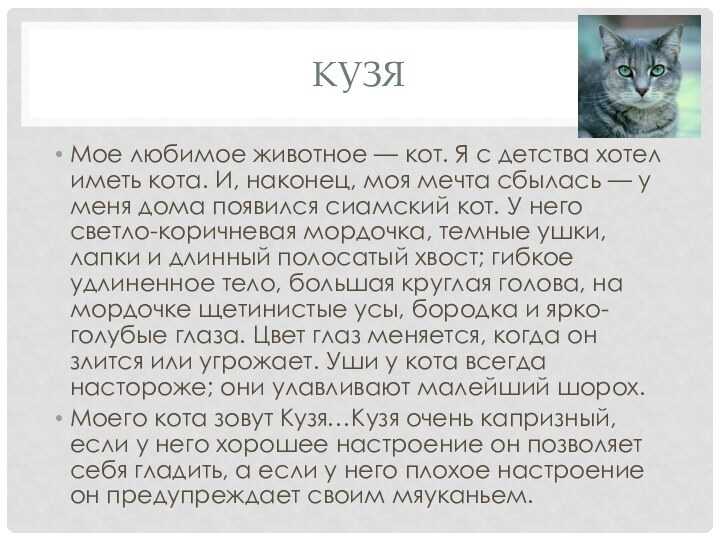 Сочинение на тему мой любимый домашний питомец
