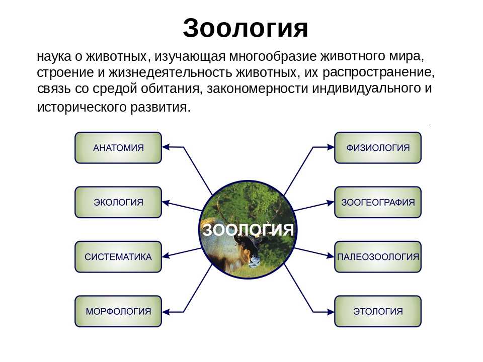 Разновидности заданий в тестовой форме