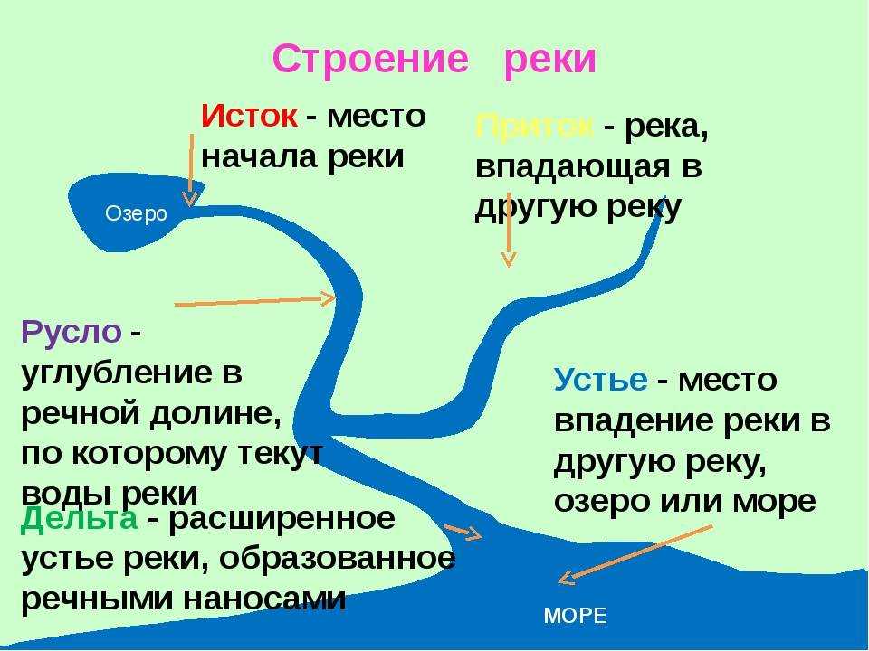 Река дон: обзор и характеристики, притоки, исток, устье