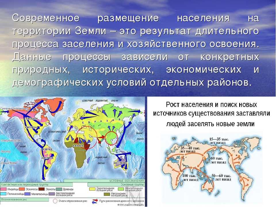 Контрольная работа по теме "жизнь первобытных людей" с ответами, 5 класс