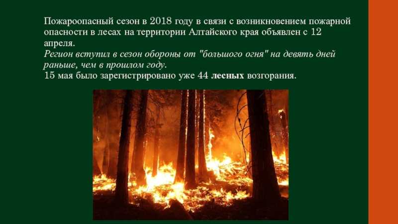 Кто воспитывал онегина: воспитание в романе «евгений онегин»