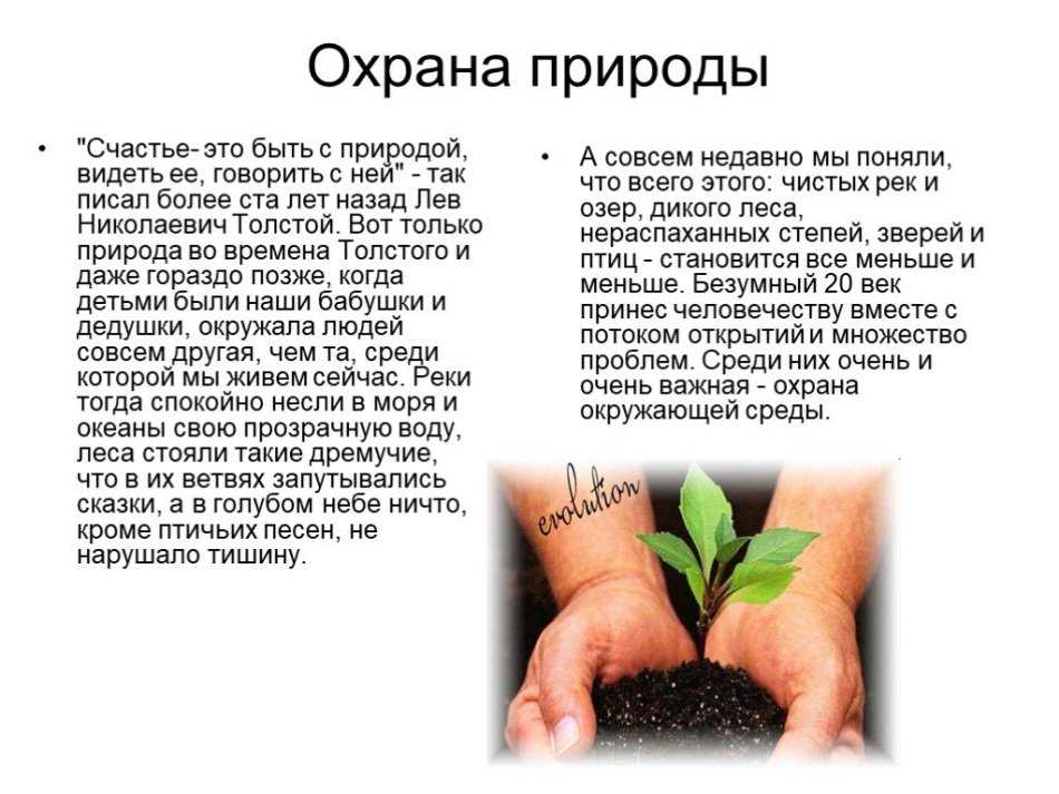 Защита окружающей среды эссе 5 класс