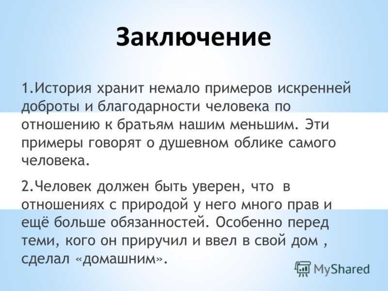 Сочинение-описание по картине клубника и белый кувшин машкова 5 класс
