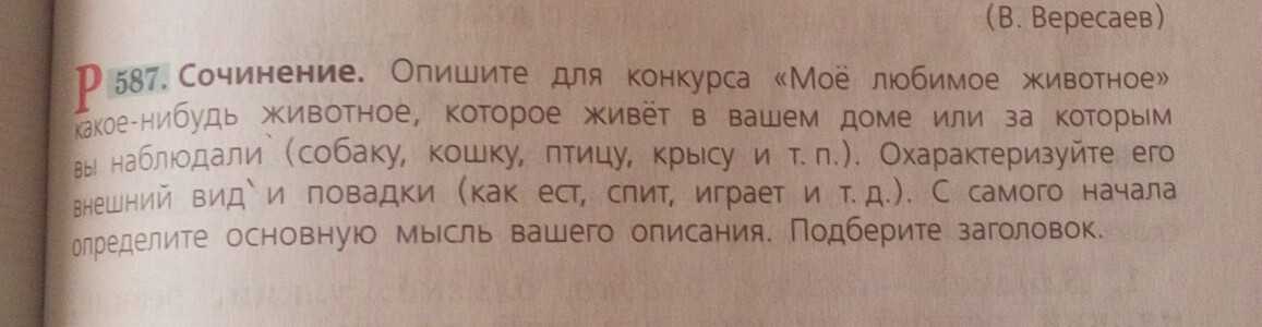 Животный мир нашей планеты