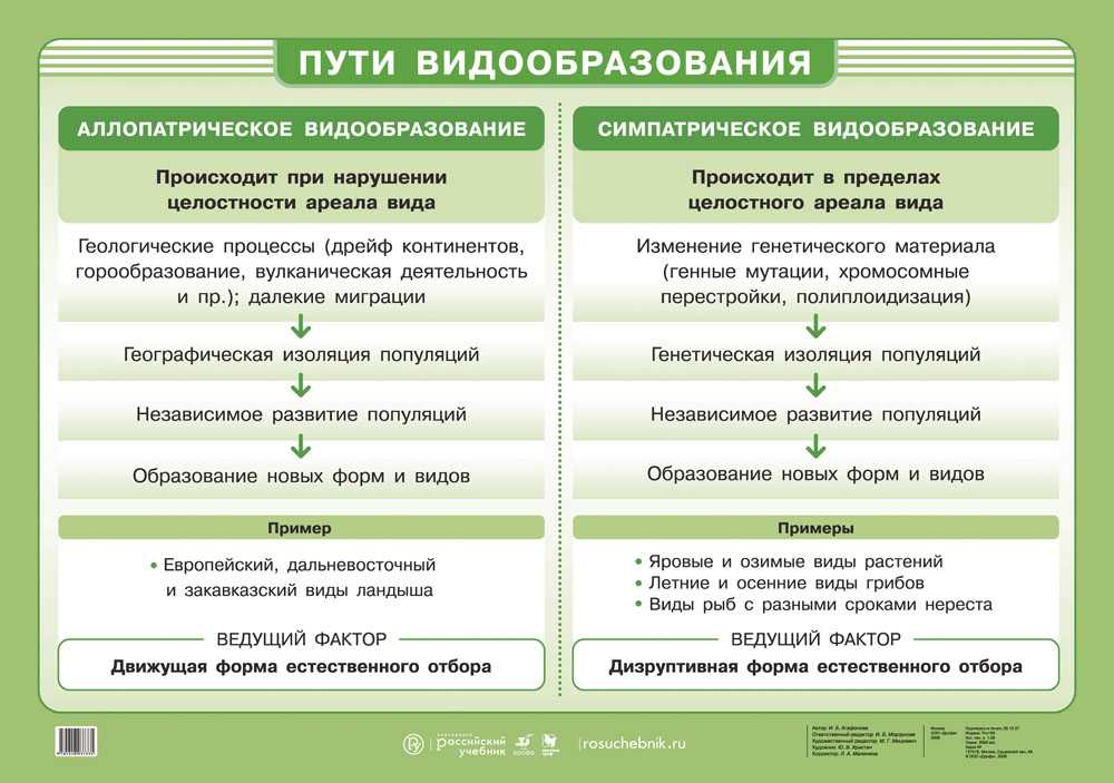 Тест по биологии вид, его критерии и структура. процессы видообразования 9 класс
