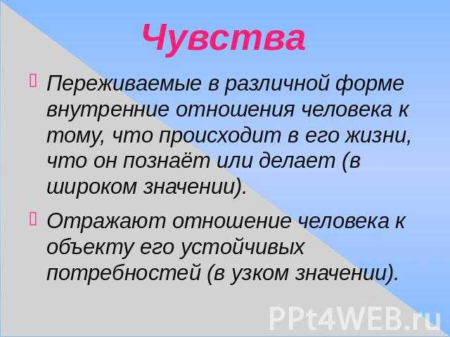 Доклад на тему жизнь леса 2, 4 класс окружающий мир сообщение (описание для детей)