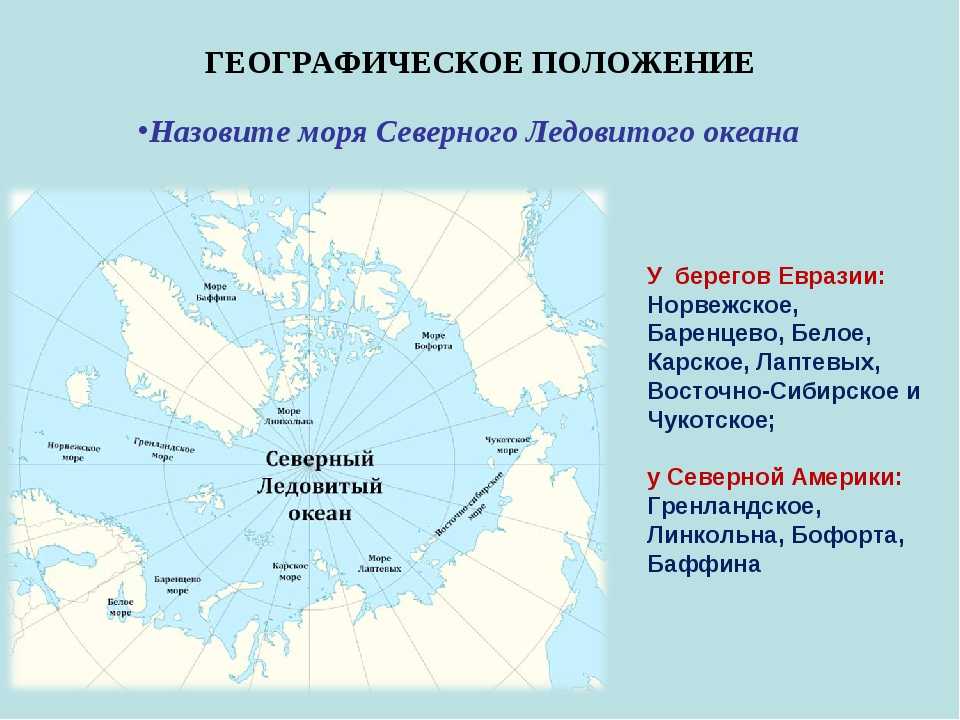 Северный ледовитый океан: описание и его особенности