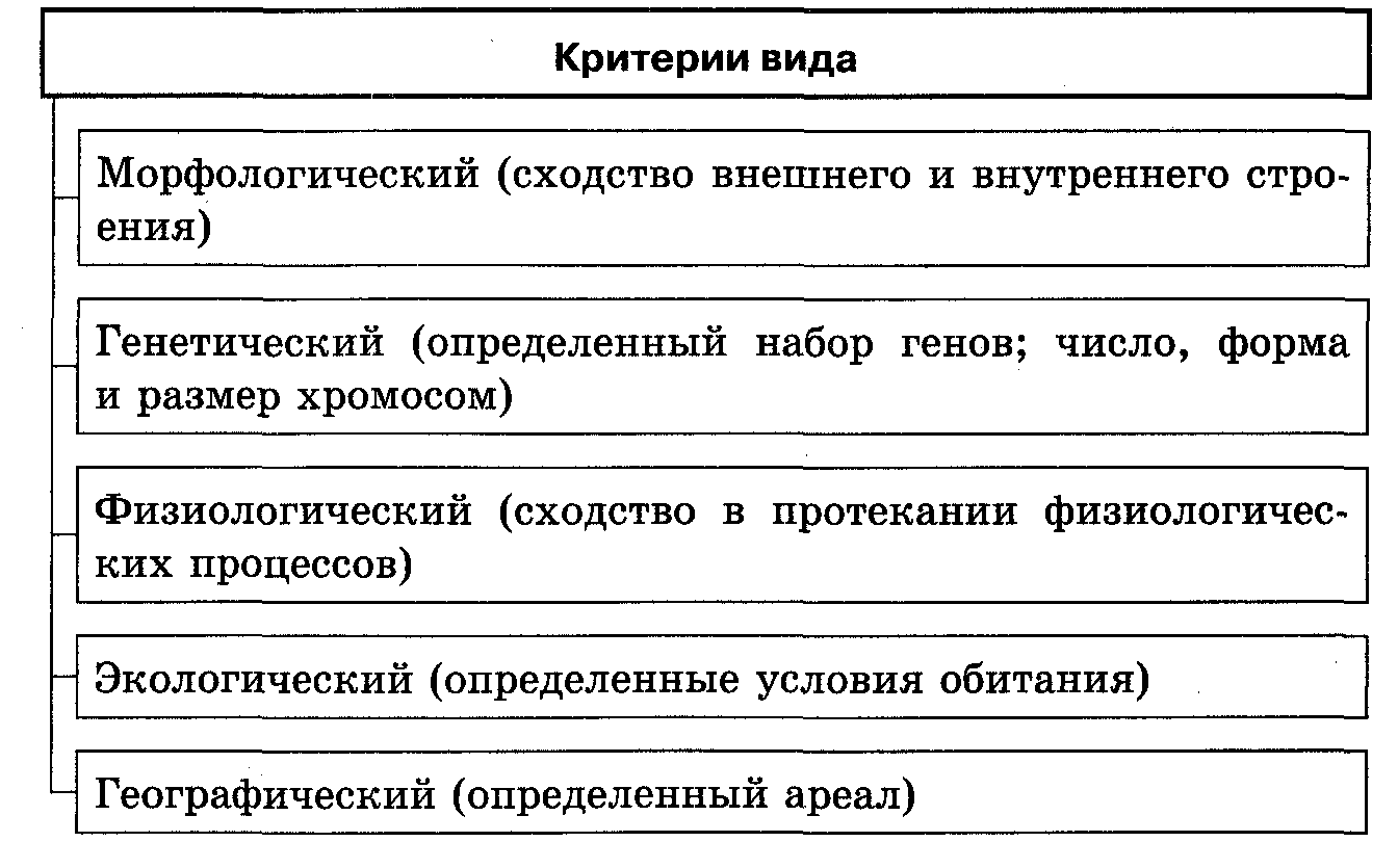 Тест по биологии вид, его критерии и структура. процессы видообразования 9 класс