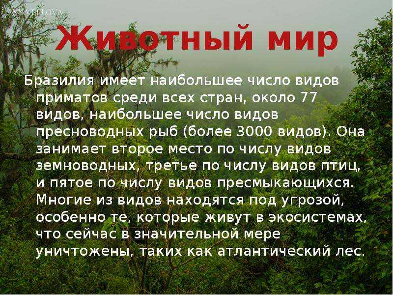Презентация на тему бразилия 7 класс