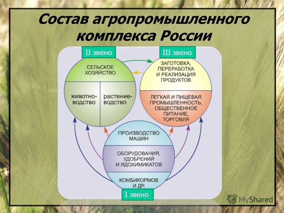 Схема география сельского хозяйства