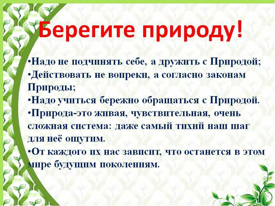 Сочинение берегите природу план