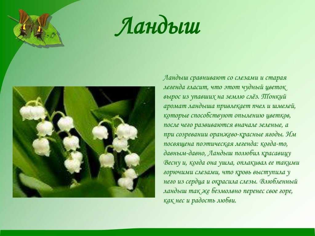 Сочинения о природе