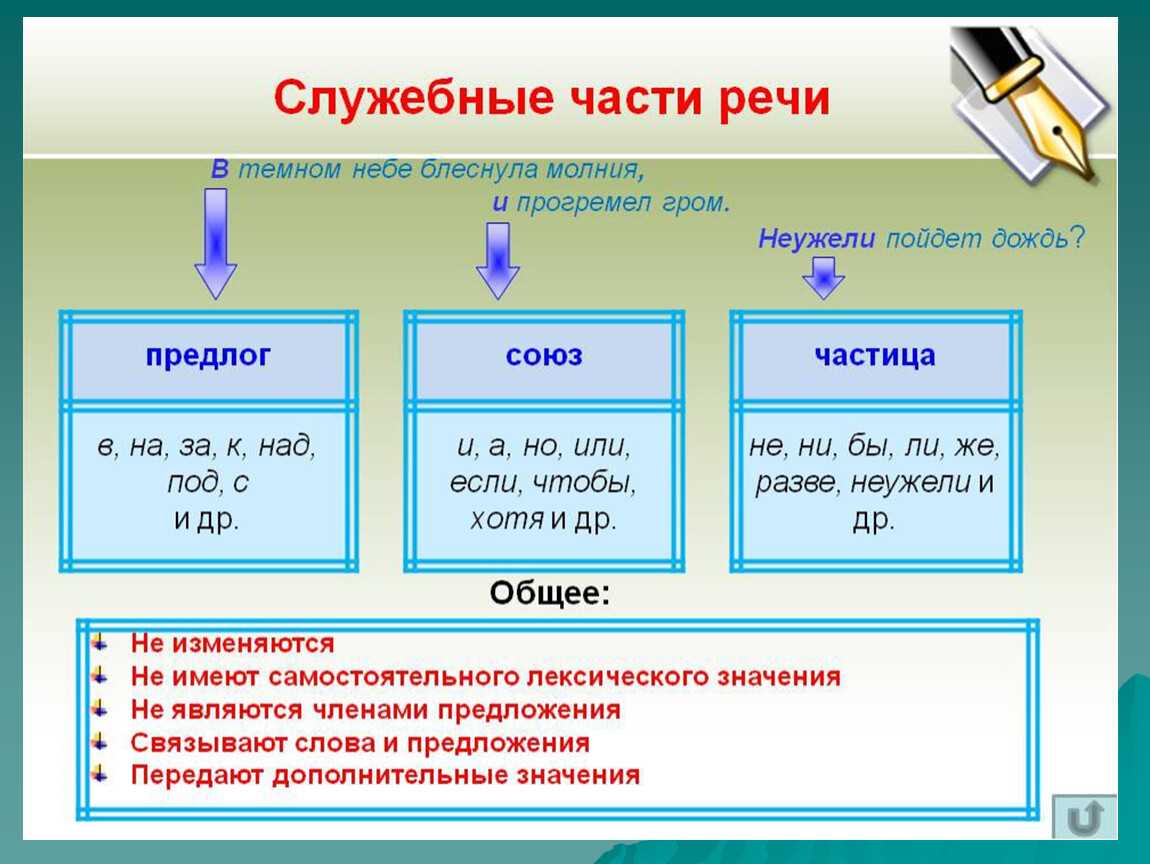 Проект по частям речи 7 класс