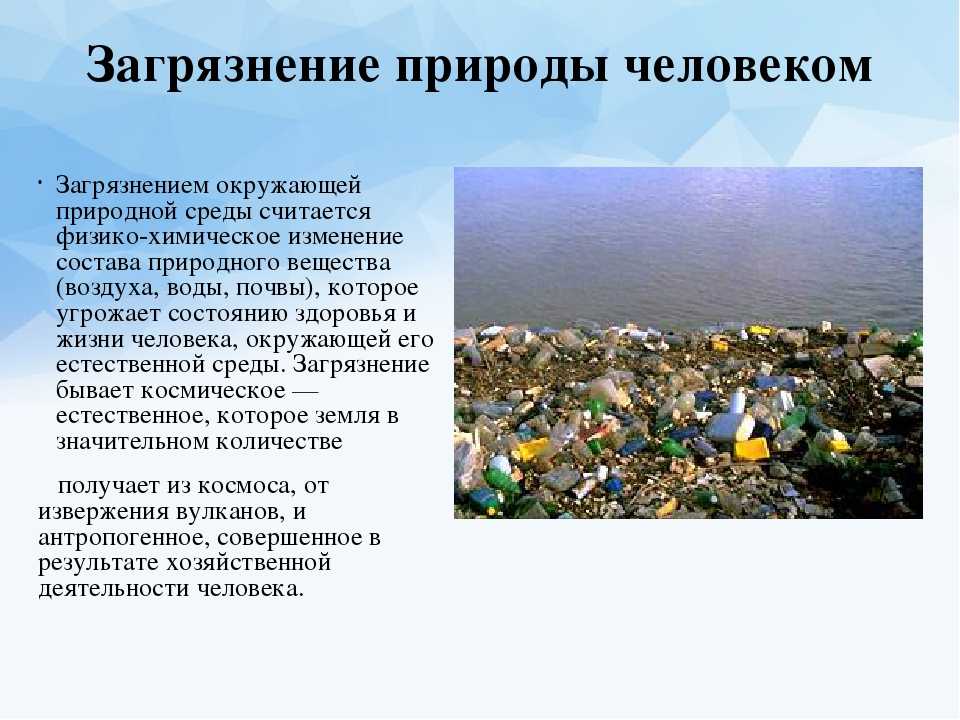 Сочинение на тему защита окружающей среды — litera.site — литературный сайт