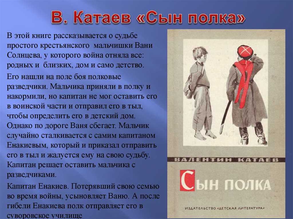 Краткое содержание «сын полка»