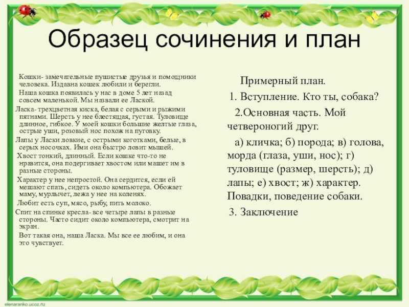 Короткие рассказы - не придуманные истории про кошек