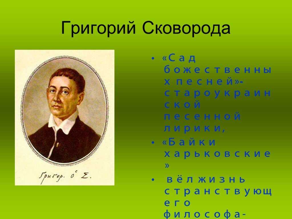 Кенгуру животное. образ жизни и среда обитания кенгуру