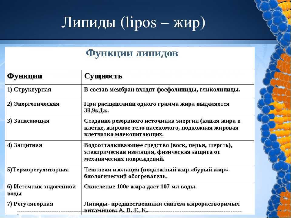 Тест по биологии обмен веществ 8 класс