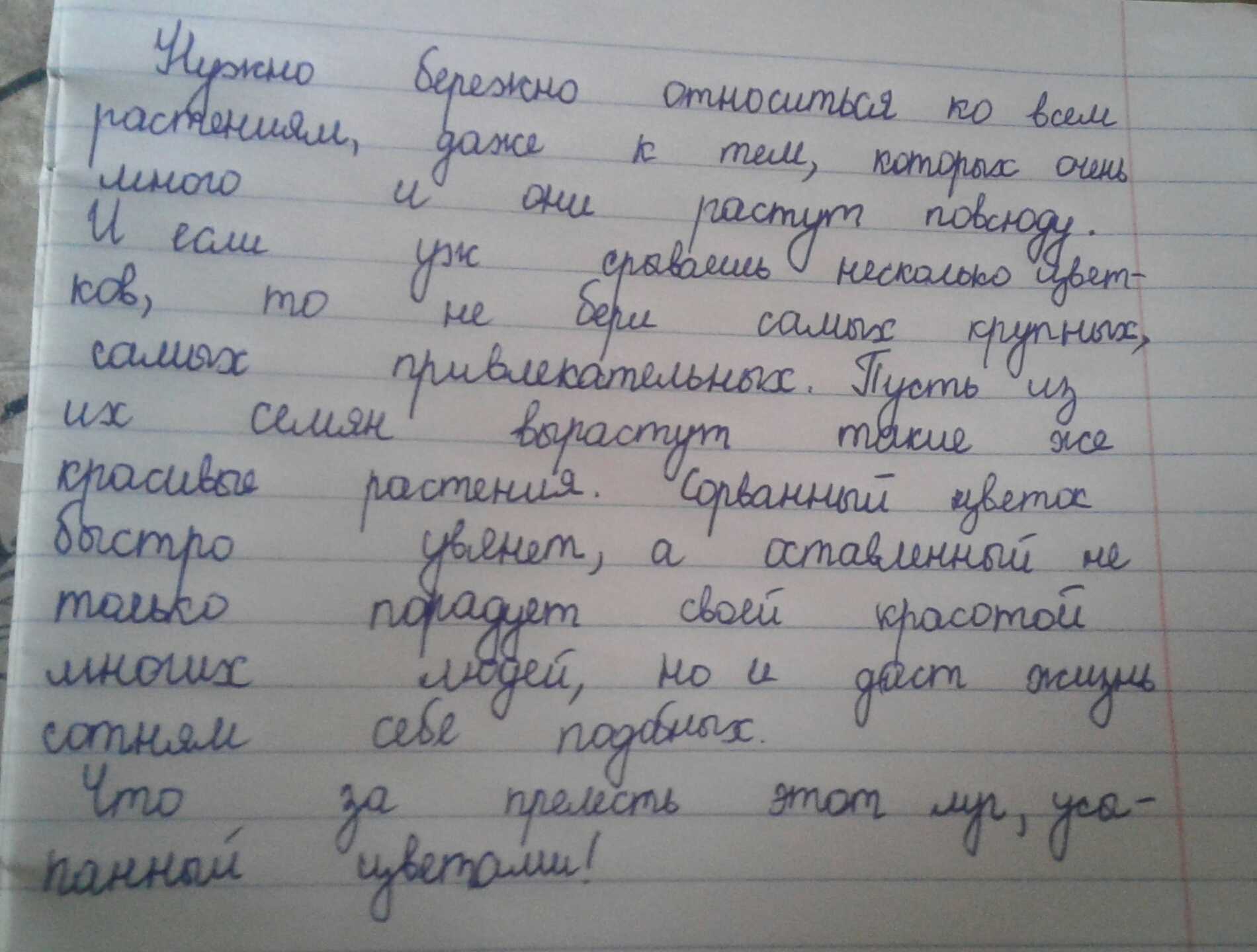 Пингвины – коренные жители антарктиды