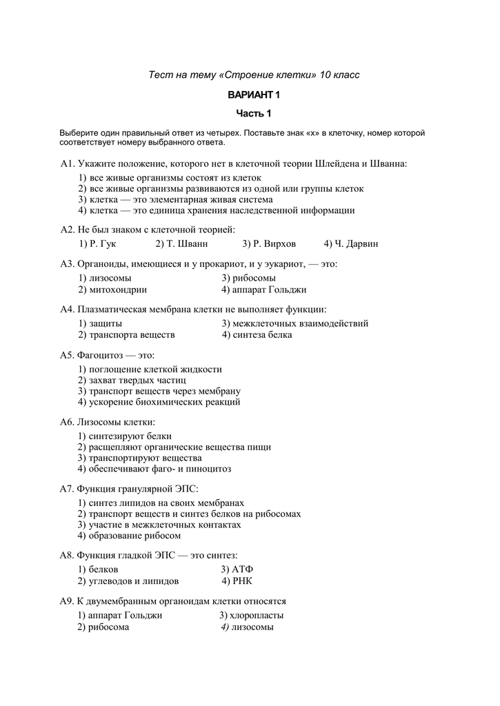 Тест по биологии: "клетка"