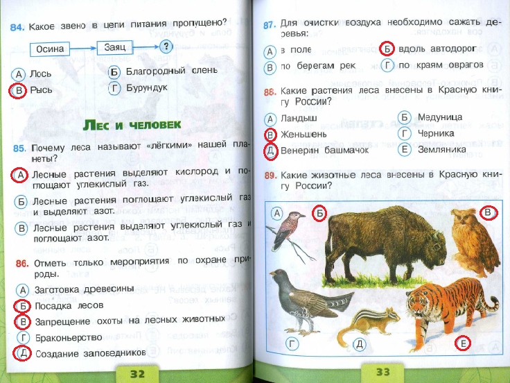 Тесты вно онлайн - скачать тесты с ответами 2023, 2022, 2021, 2020, 2019, 2018, 2017, 2016, 2015, 2014, 2013, 2012, 2011