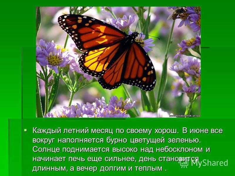 Сочинение на тему летние каникулы (4, 5, 6, 7, 8 , 9 класс)