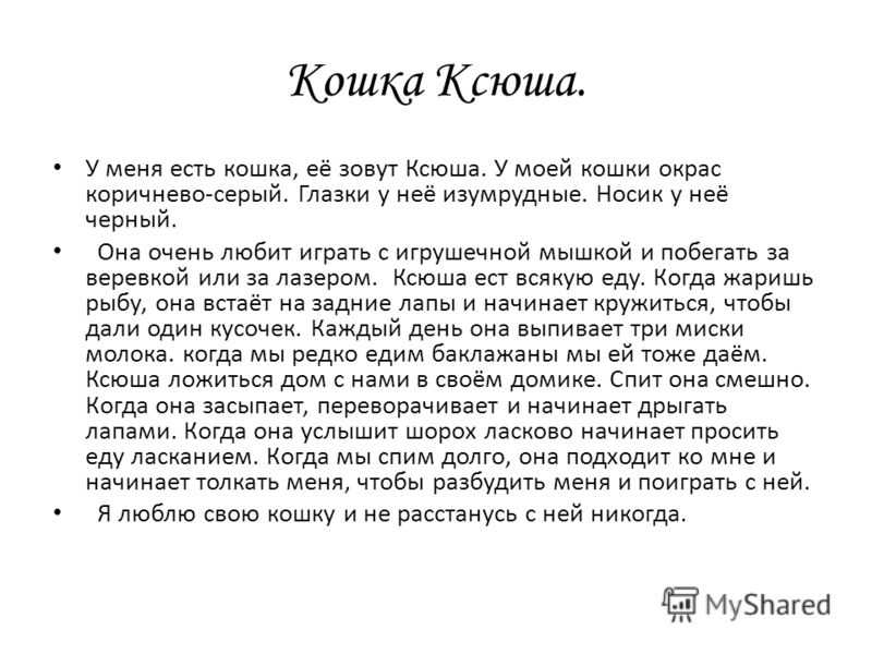 Сочинение-описание кошки (2, 3, 5, 6, 7, 8 класс)