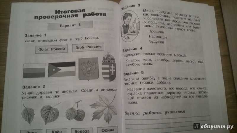 Окружающий мир 2 класс проверочные работы 1