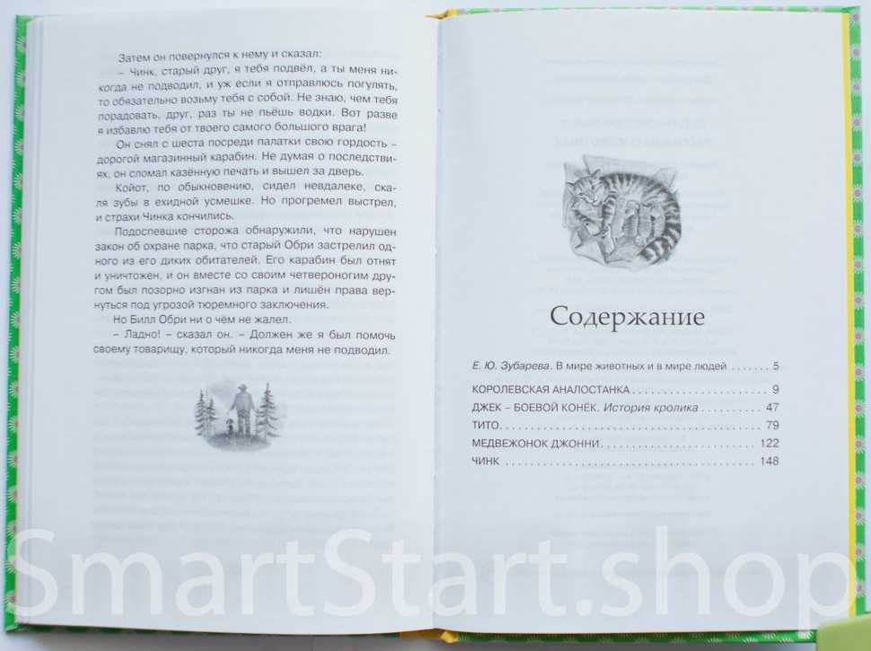Рассказ сетон томпсон краткое содержание. Томпсон рассказы о животных оглавление. Сетон Томпсон рассказы о животных содержание. Рассказы Сетона Томпсона оглавление. Чинк Сетон Томпсон сколько страниц.